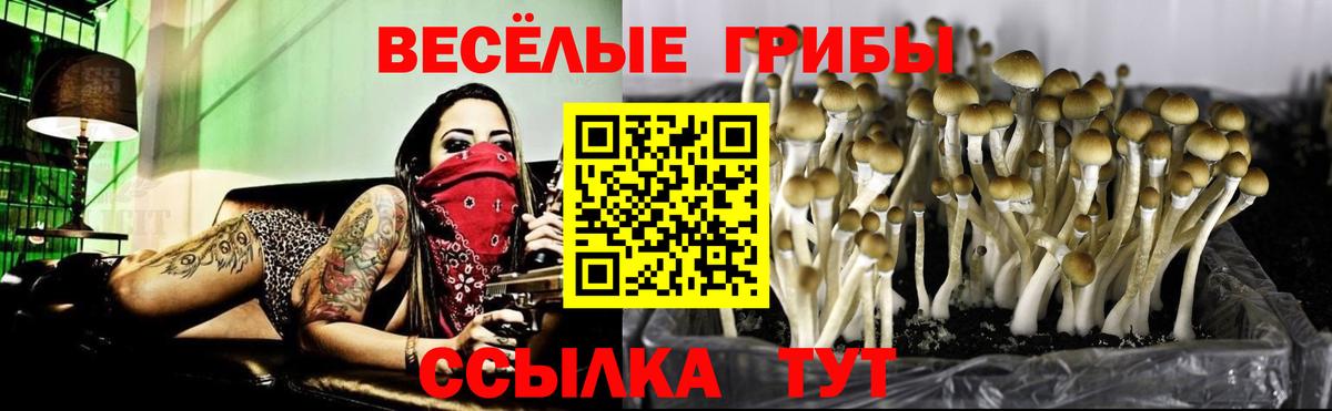 Галлюциногенные грибы мухоморы  Псилоцибиновые грибы Cubensis  Новошахтинск  цена   Вход с VPN 
